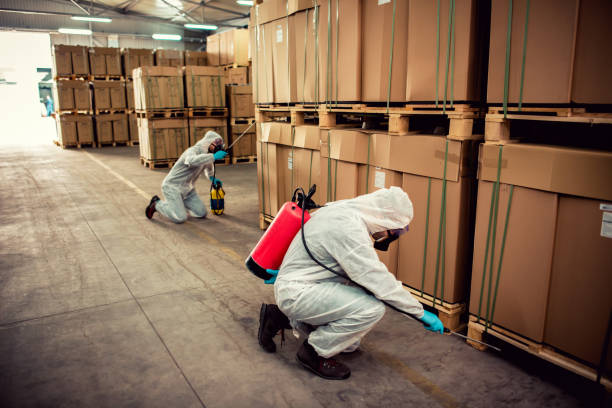 Wasp Removal Services in Irrigon, OR