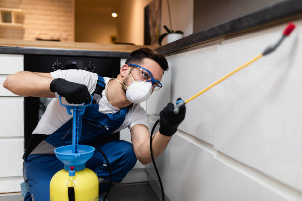 Best Flea Control Services  in Irrigon, OR