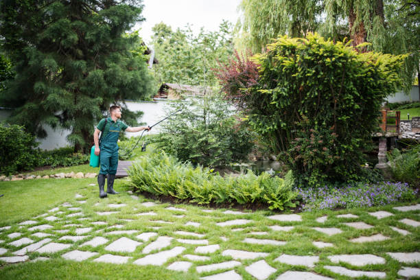 Best Affordable Pest Control Services  in Irrigon, OR