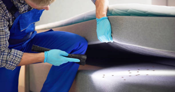 Best Termite Control Services  in Irrigon, OR