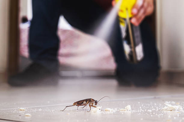 Best Pest Prevention Services  in Irrigon, OR