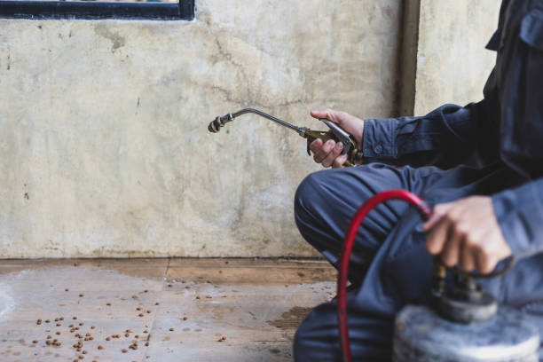 Best Affordable Pest Control Services  in Irrigon, OR