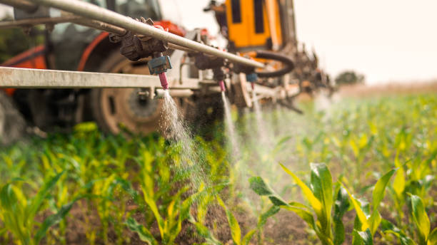 Professional Pest Control in Irrigon, OR